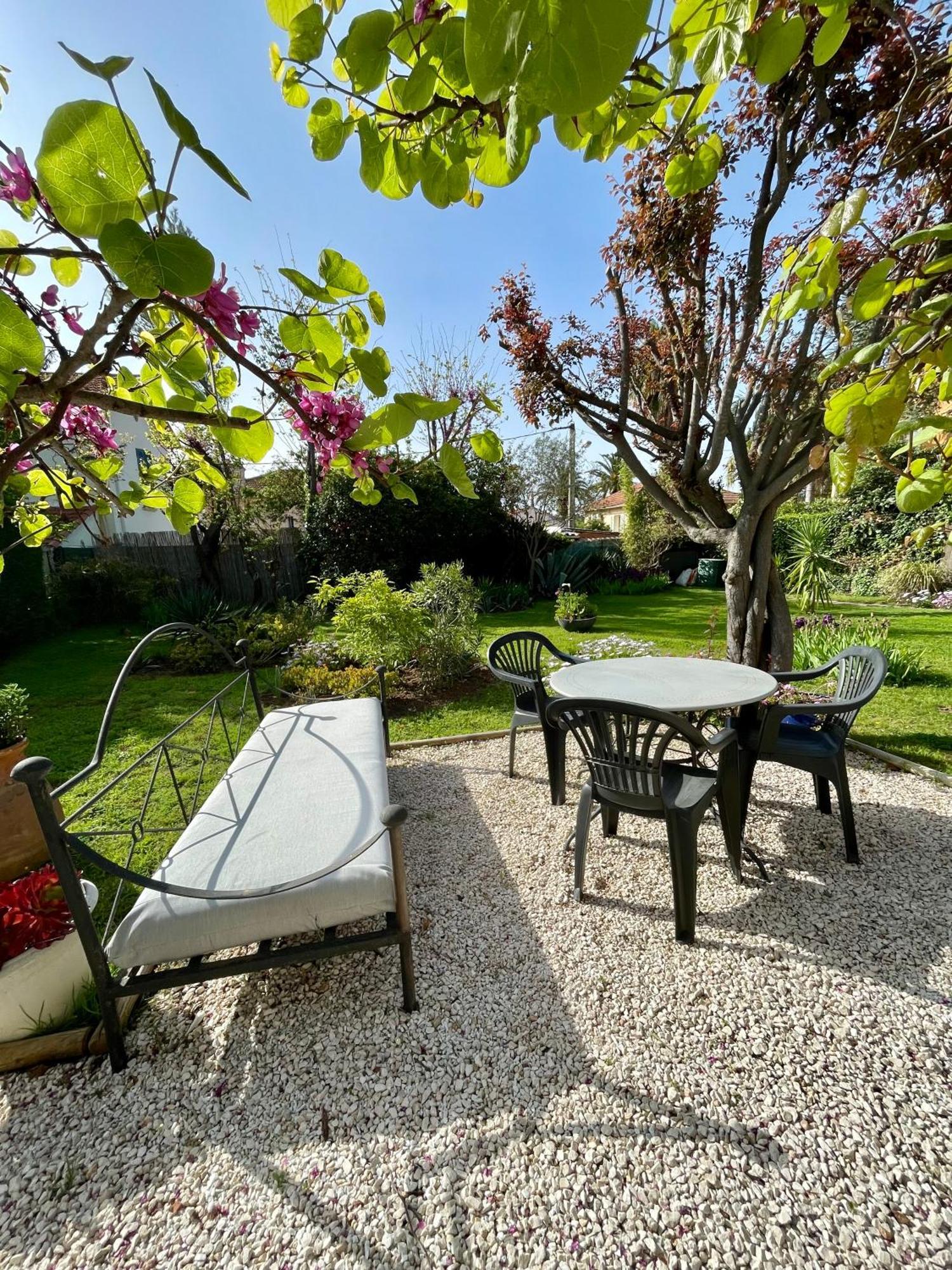 Appartement Rez De Villa Proche Port Et Plages De Sanary Eksteriør bilde